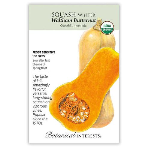 Squash-Winter Waltham Butternut