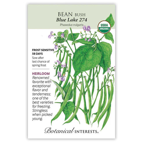 Bean-Bush Blue Lake 274