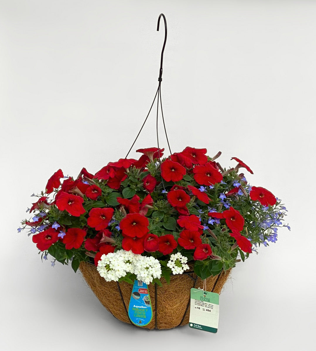 Lobelia Light Blue/Petunia Sanguna Red/Verbena Lan