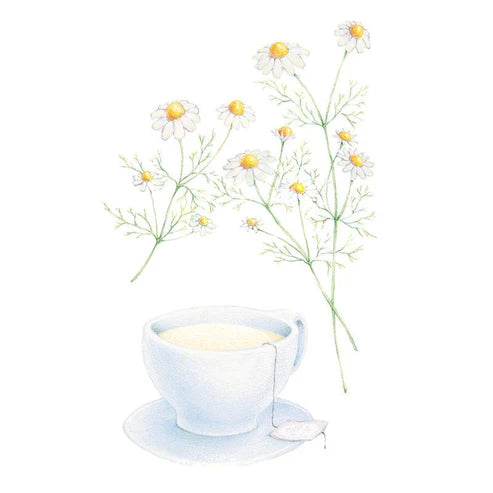 Chamomile-German