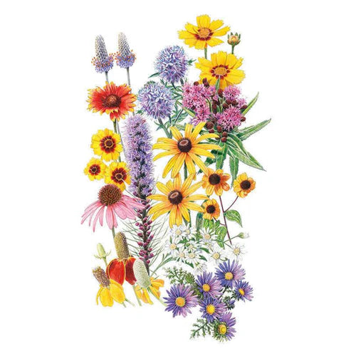 Flower Mix-Prairie Splendor Midwest