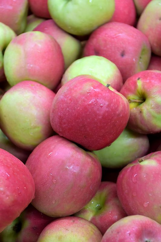 Apple-Pink Lady 20CP