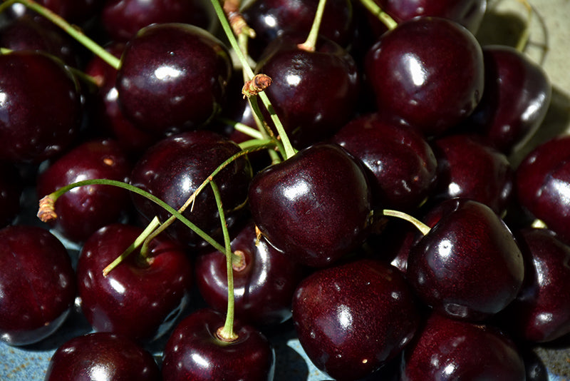 Cherry-Bing 20CP