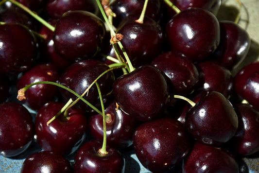 Cherry-Bing 20CP