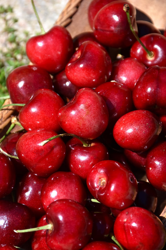 Cherry-Sweetheart 7C