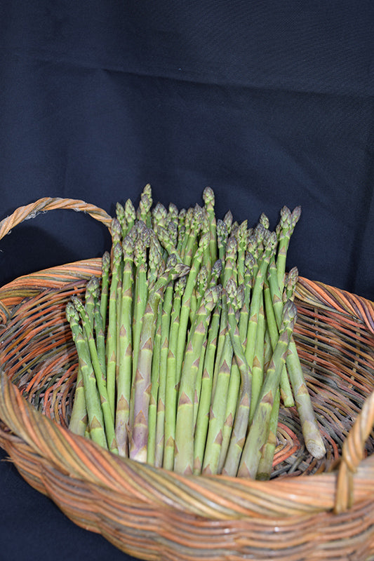 Asparagus-Jersey Knight 2C