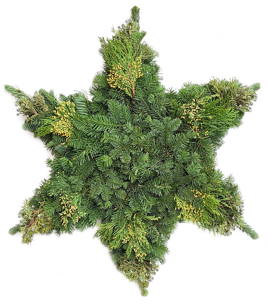 Snowflake-Traditional Mix 25"