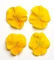 Pansy-Cool Wave Golden Yellow 11"H