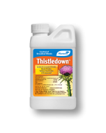 Monterey-Thistledown .5pt