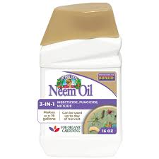Bonide-Neem Oil Conc. Pt.