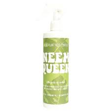 Neem Queen Pest Control