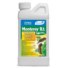 Monterey-BT Conc. 32Oz.