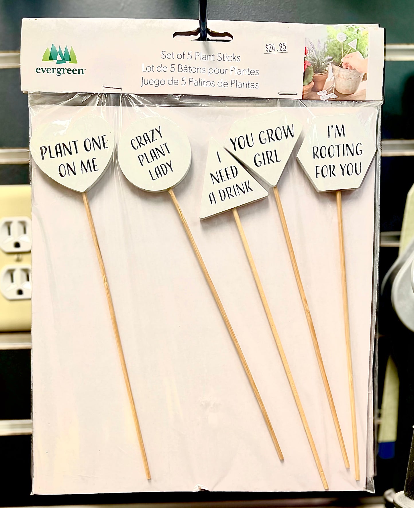 Plant Sticks-Wood Messaging