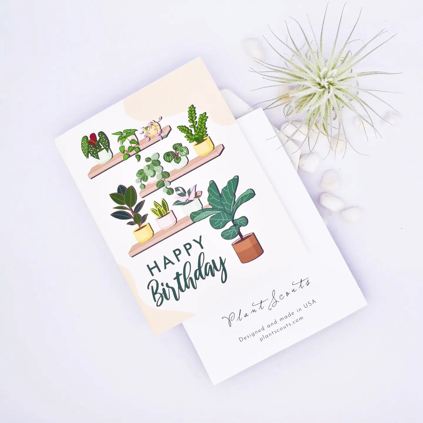 Card-Greeting Assorted