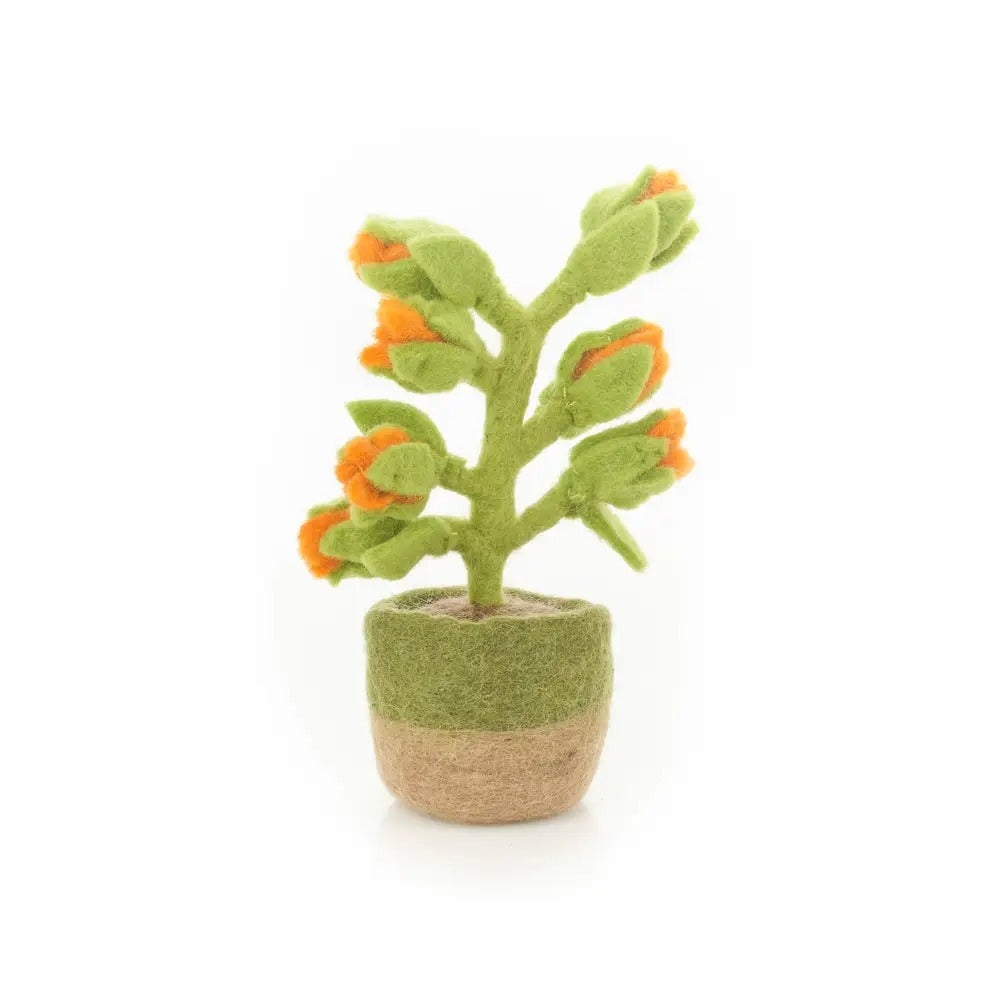 Felt-Cactus Assorted