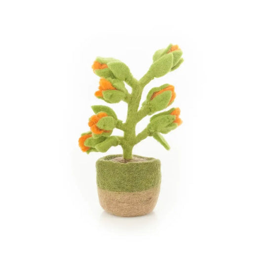 Felt-Cactus Assorted