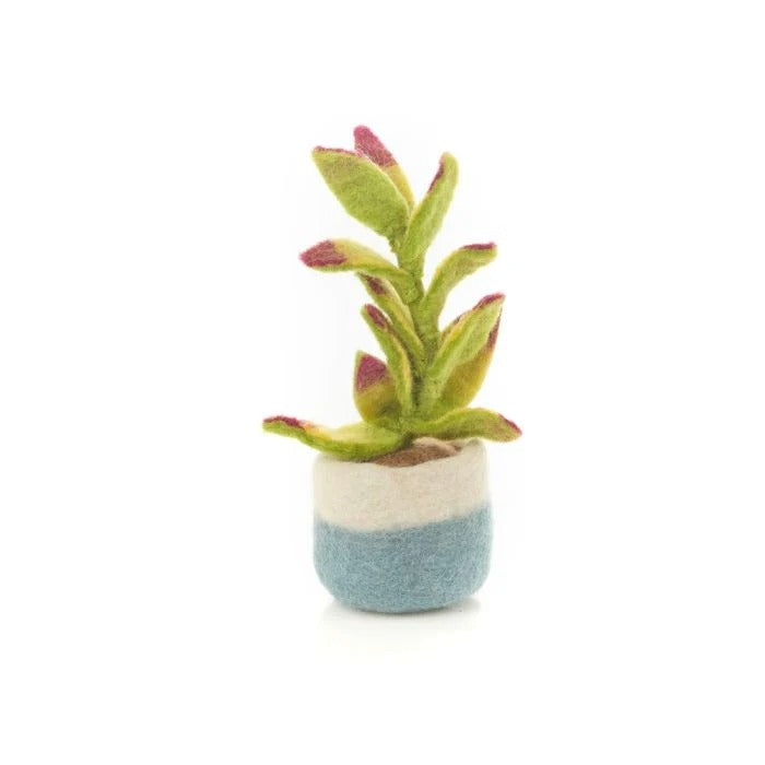 Felt-Cactus Assorted