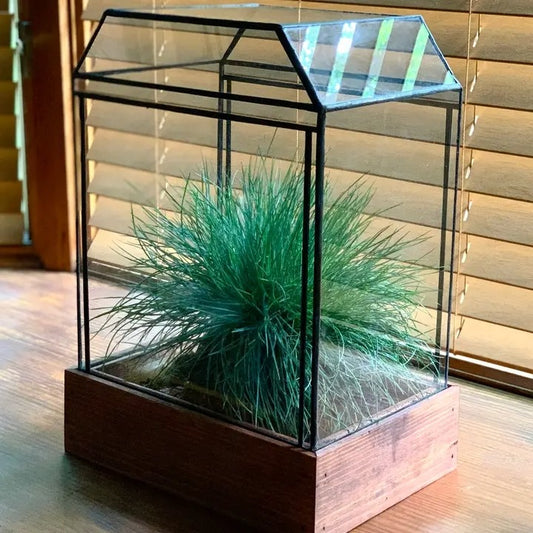 Terrarium-The Colden