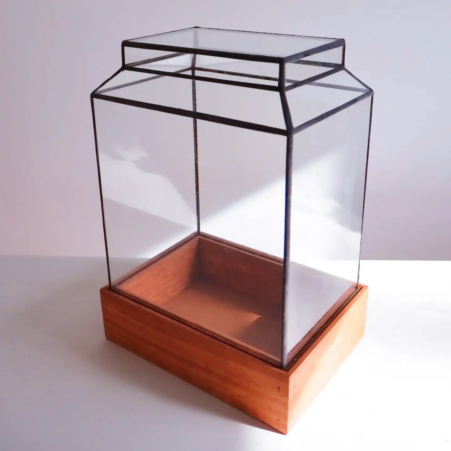Terrarium-The Ward