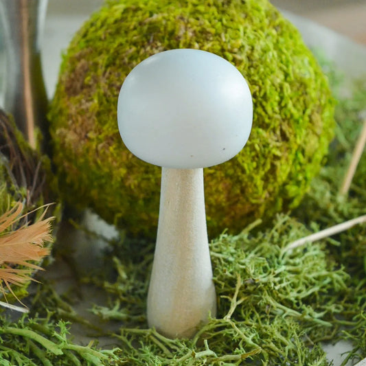 Mushroom-4" Morning Mist