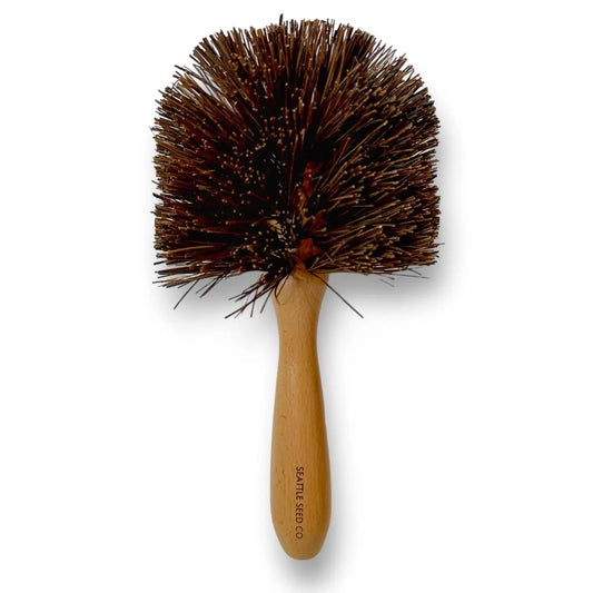 Brush-Plant Pot Cleaning
