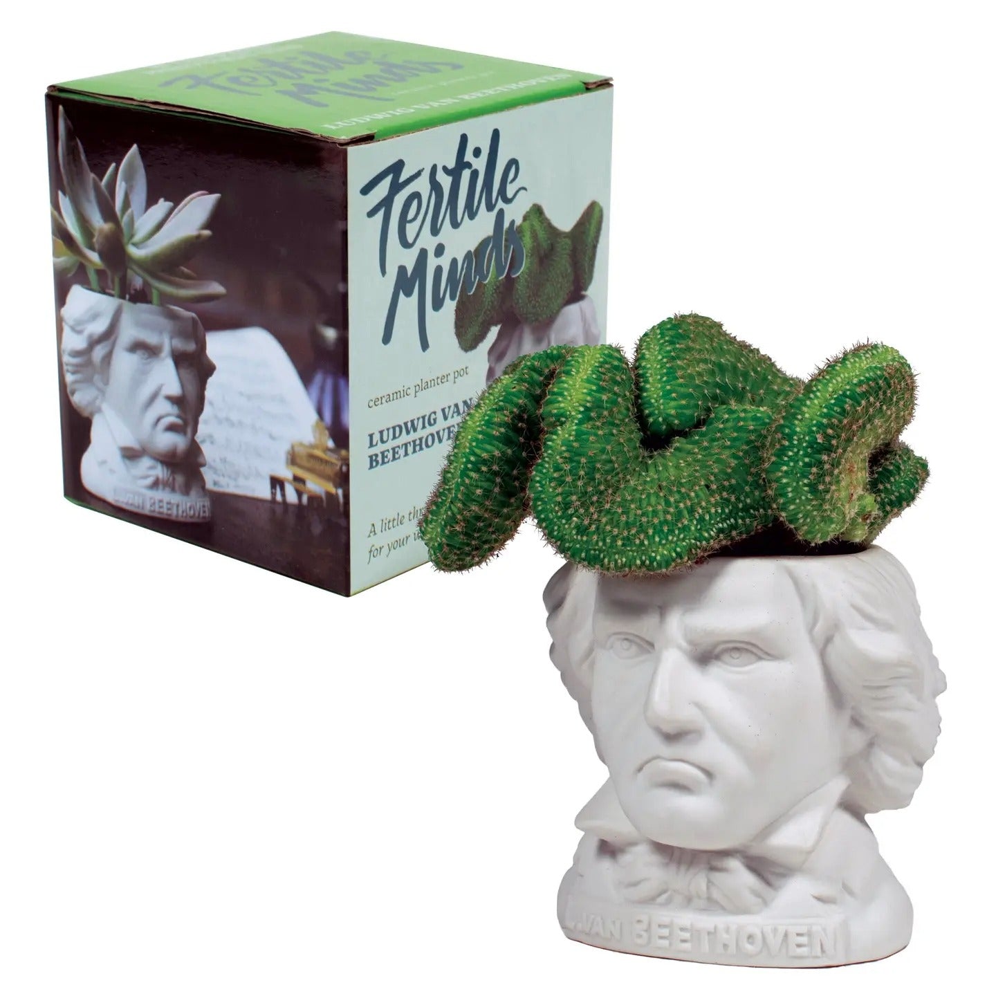 Planter-Ludwig Van Beethoven