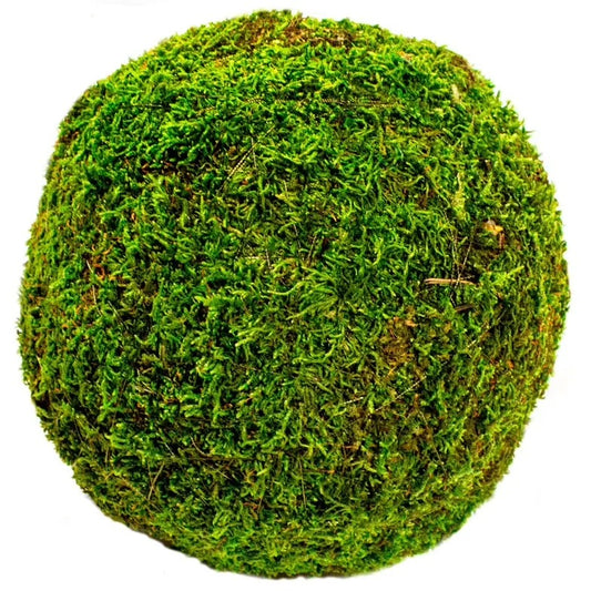 Moss-Balls 8"