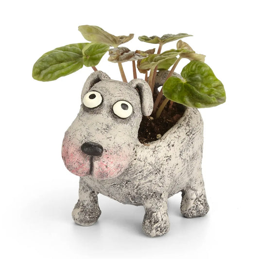 Planter-Petunia Dog