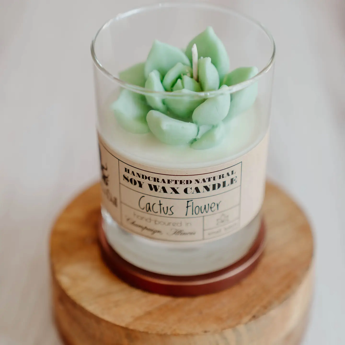 Candle-Fire Doll Cactus