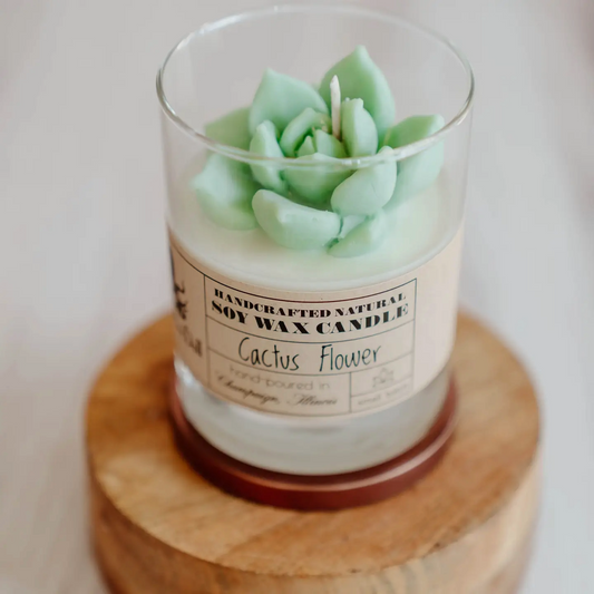 Candle-Fire Doll Cactus