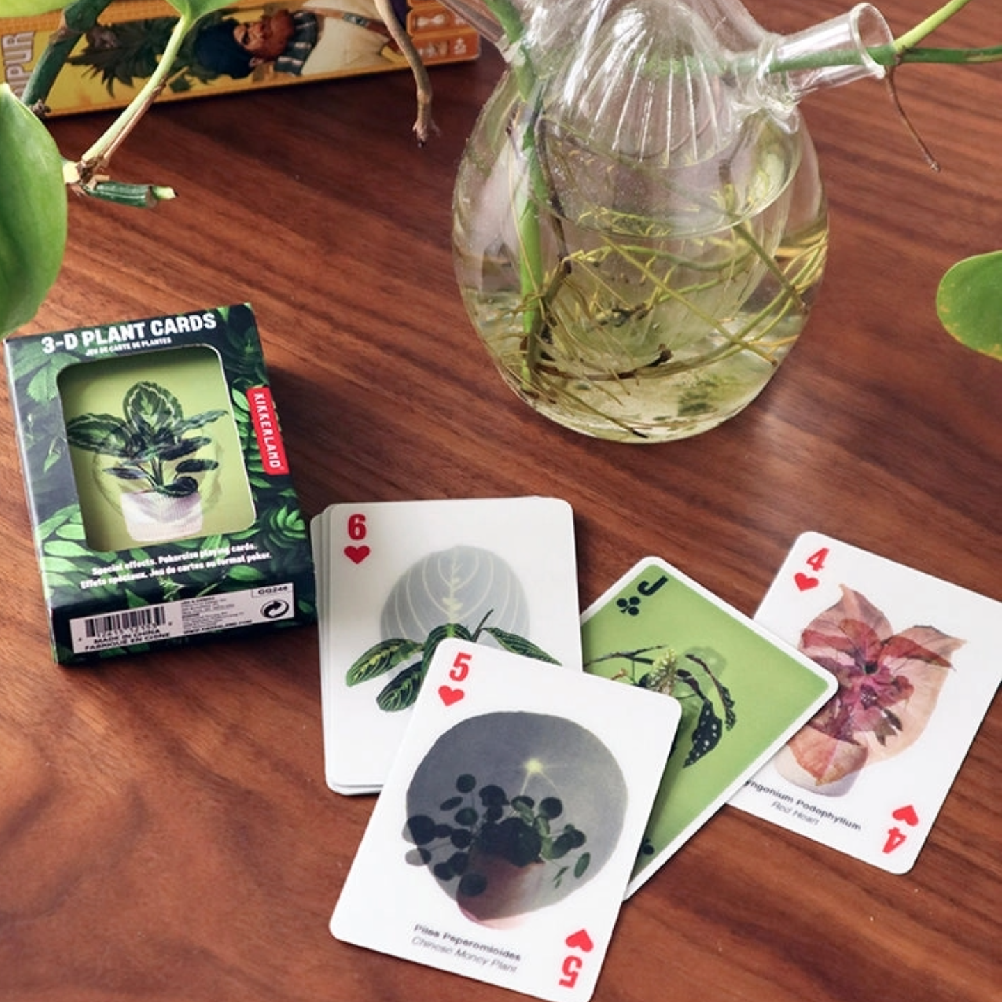 3D Plant card