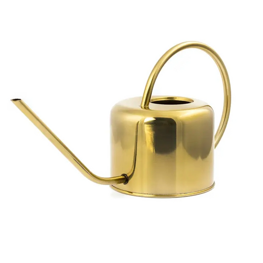 Vintage Watering Can